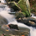 Gabes Mountain Trail